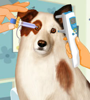 Dog With a Blog Eye Care