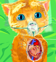 Ginger Heart Surgery